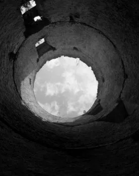 L’Exposition Un jardin en hiver