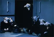 Le Roi nu de Schwartz : satire de Staline au theatre