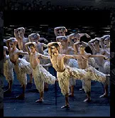 Swan Lake de Matthew Bourne : le Lac des Cygnes masculin