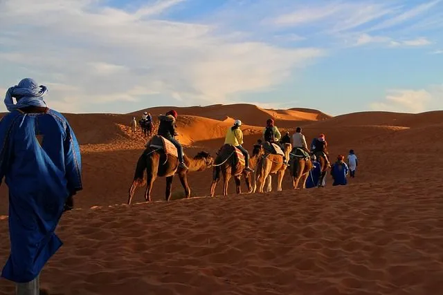 Caravane dans le Sahara, que l